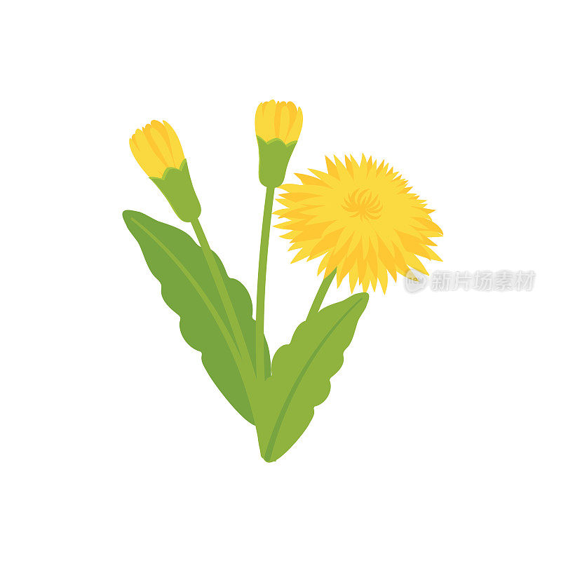 Cute Flower Icon In Flat Design - Dandelion